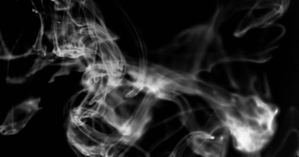 Smoke Background White Smoke Floating Space Black Background — Stock Video