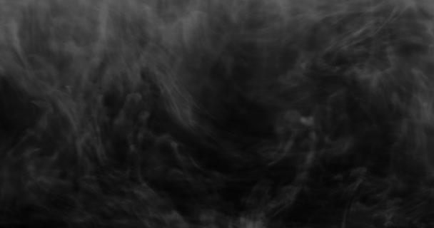 烟熏的背景 白烟在黑色背景下飘过空间 — 图库视频影像