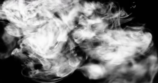 Καπνός Λευκός Καπνός Αιωρείται Στο Διάστημα Μαύρο Φόντο — Αρχείο Βίντεο