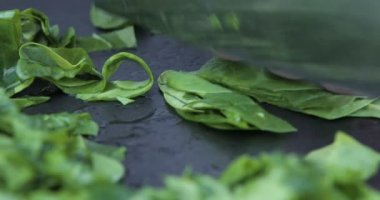 Ispanak doğrayan adamın elleri