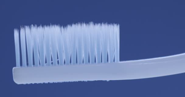 Dentifricio Applicato Uno Spazzolino Denti Colpo Vicino — Video Stock