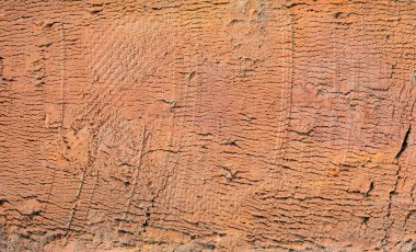 Arkaplan ya da doku olarak beton alçı duvar