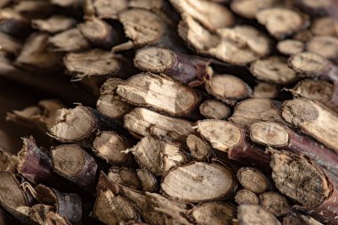 Arkaplan dokusu olarak ağaç dallarının oluşturduğu yığın.