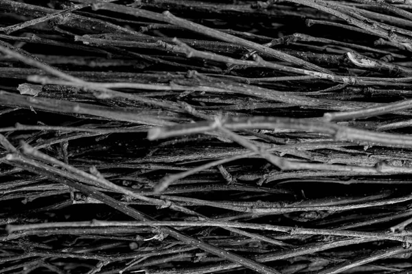 Mucchio Albero Rami Composizione Come Sfondo Texture — Foto Stock