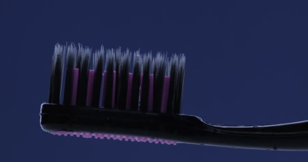 歯磨き粉は歯ブラシに適用されます 撃たれた — ストック動画