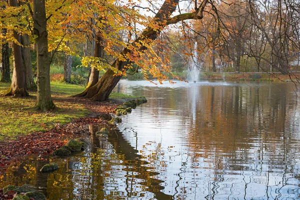 Buchen Herbstlichen Farben Spiegelungen Teich Kurpark Bad Aibling Oberbayern — Stockfoto