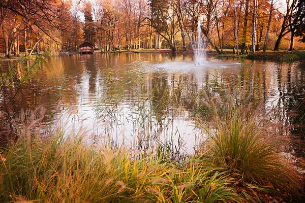 Herbstlicher Kurpark Bad Aibling Mit Teich Und Brunnen Oberbayern — Stockfoto