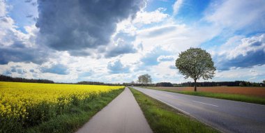 Kanola alan, koyu gri bulutlar, yaklaşan atabilmek yanında kırsal yolu ve bisiklet yolu