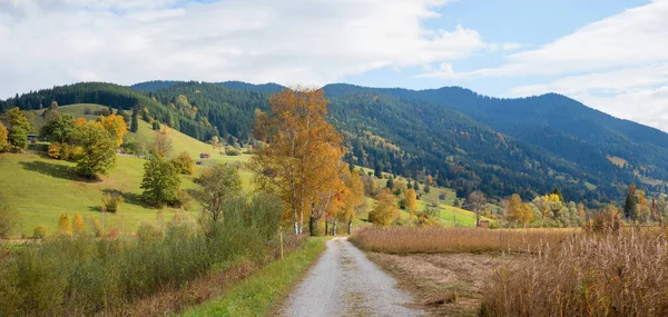 Wandergebiet Unterammergau Grüne Hügel Und Sümpfe Herbst Landschaft Oberbayern — Stockfoto