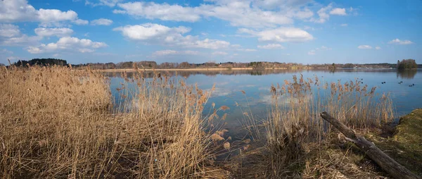 Bela Área Proteção Natural Lago Seeham Para Pássaros Céu Azul — Fotografia de Stock