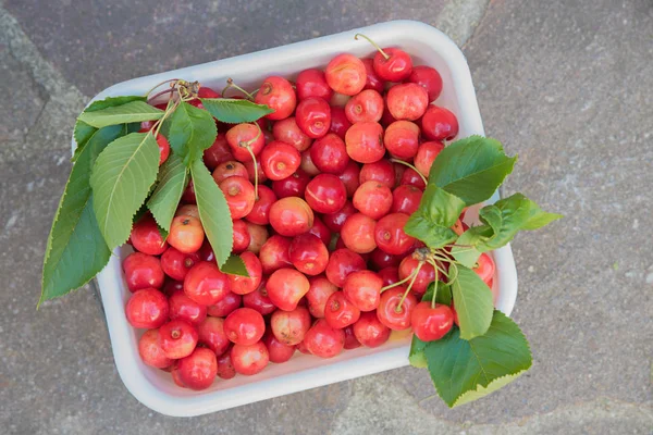 Witte Doos Met Geplukte Zoete Rode Kersen Natuurlijke Stenen Ter — Stockfoto