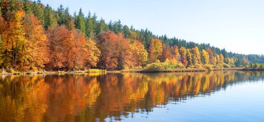 Şafakta, renkli ağaçlar ile sonbahar lakeside pastoral moor Gölü deininger weiher. Yukarı Bavyera.