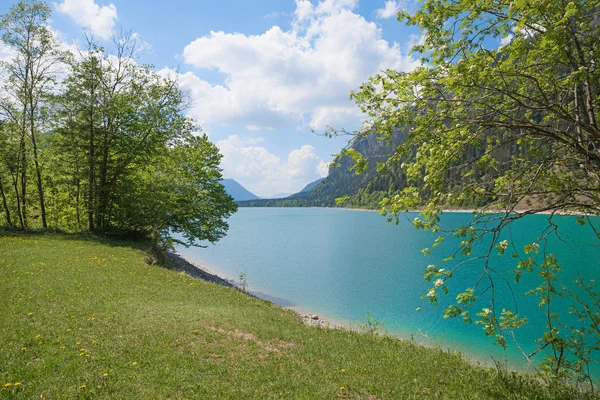 Zonnebaden Oever Van Het Meer Van Accumulatie Lake Sylvenstein Mooie — Stockfoto
