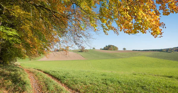 Jalur Desa Sepanjang Lanskap Bavarian Pedesaan Bawah Cabang Dengan Daun — Stok Foto