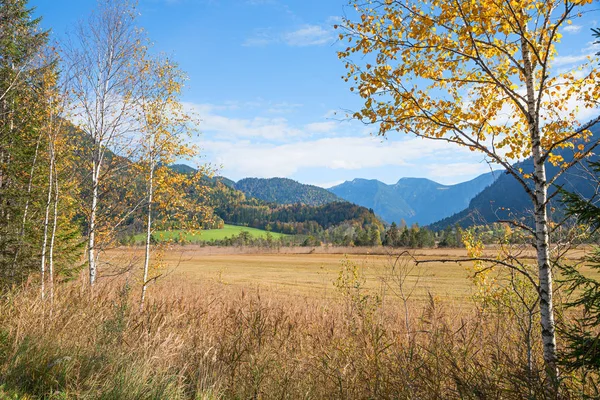 Naturschutzgebiet Weidmoos Bei Ettal Bayerische Herbstmoorlandschaft — Stockfoto