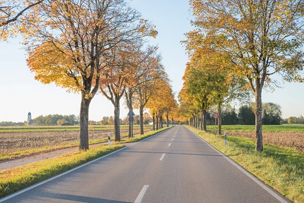 Her Iki Tarafı Döngüsü Yolu Yanında Sonbahar Ağaçlarda Olan Ülke — Stok fotoğraf