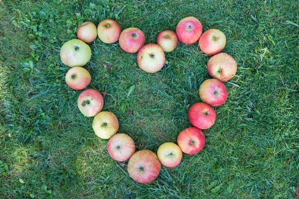 kalp simgesi, Olgun elma Bahçe çim üzerinde yapılan
