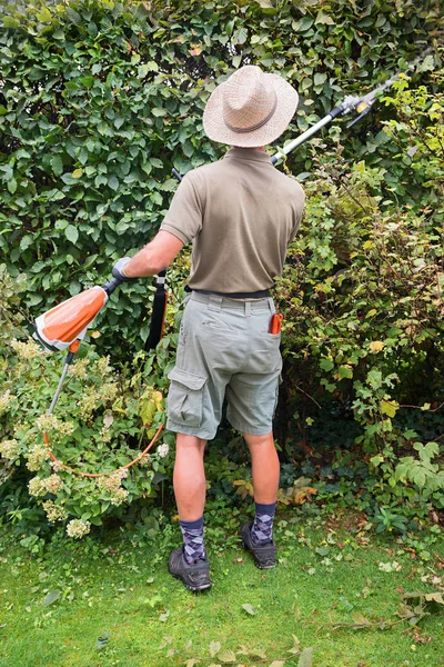 Gardener Trimming Beech Hedge Long Hedge Clippers Battery Operation View — Stock Photo, Image