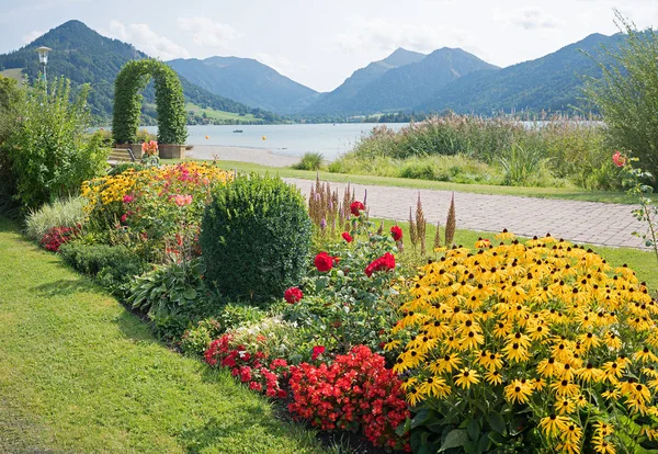 Schöner Kurpark Mit Herbstlichen Blumen Leuchtenden Farben Schliersee Oberbayern — Stockfoto