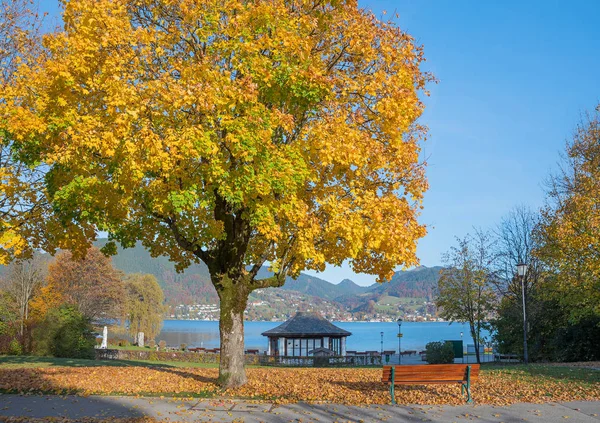 Pictórica Tegernsee Junto Lago Con Banco Mirador Árbol Arce Otoñal — Foto de Stock