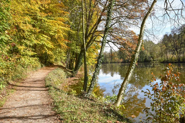 Pasarela Idílica Largo Estanques Páramo Ebersberg Bavaria Superior Paisaje Otoño — Foto de Stock