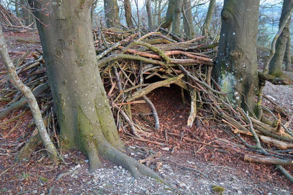 森の木のノブの作った避難所 — ストック写真