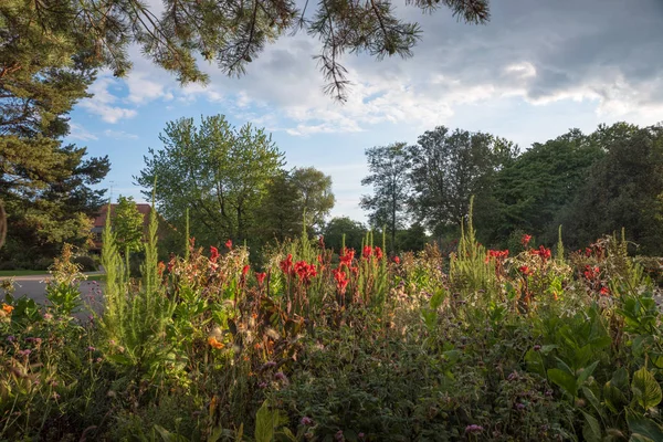 Autumnal City Park Munich South View Conifer Branches — Stock Photo, Image