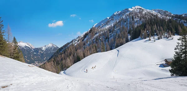 Narciarstwo Okolicy Pięknym Widokiem Góry Zima Krajobraz Tirol Austria — Zdjęcie stockowe