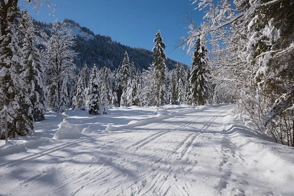 Langlauf Ski Tracks Buurt Van Kreuth Wintersport Regio Opper Beieren — Stockfoto