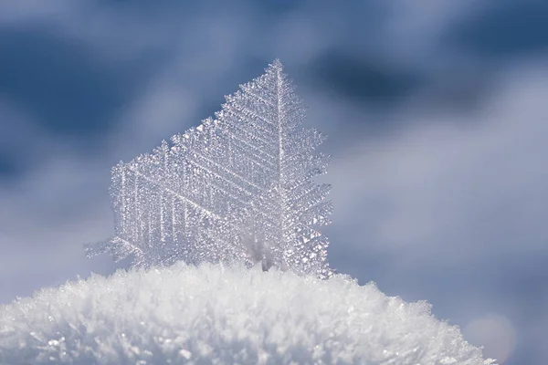 冰霜水晶冰片在寒冷的雪堆 模糊的冬天背景 — 图库照片