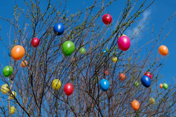 Bush Colorful Plastic Easter Eggs Blue Sky — Stock Photo, Image