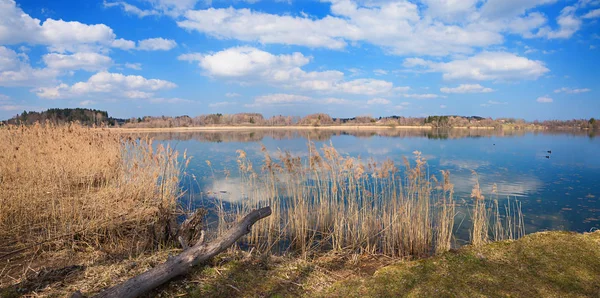 Lago Seeham Paisaje Panorámico Con Costa Salvaje Hierba Caña Cielo — Foto de Stock