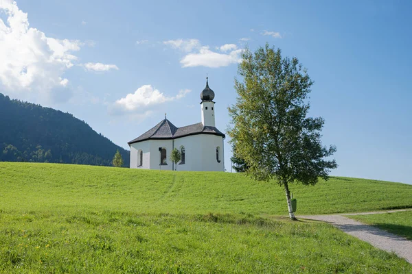 Pastoral Yeşil Dağlık Manzara Achenkirch Bahar Zamanı Hac Şapel Ile — Stok fotoğraf