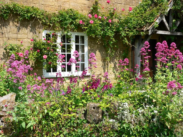 Detailní Záběr Průčelí Domu Dveřmi Oknem Zarostlé Popínavé Rostliny Květiny — Stock fotografie