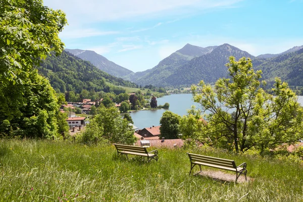 Weinberg mit Bänken, Aussichtspunkt am Luftkurort schli — Stockfoto