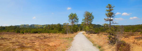 Gångväg genom vackra träsk landskap Oberbayern — Stockfoto
