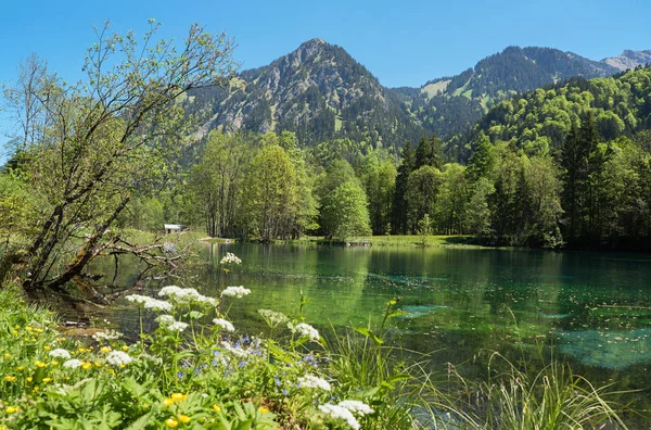 Malerische Landschaft des traumhaften Weihnachtssees in der Trettach va — Stockfoto