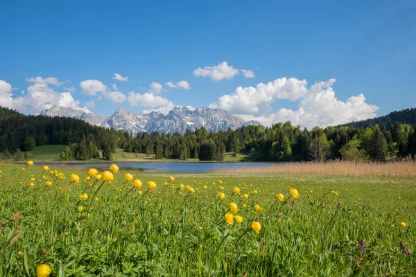 Paisagem pictórica primavera, zonas húmidas em torno do lago geroldsee com — Fotografia de Stock