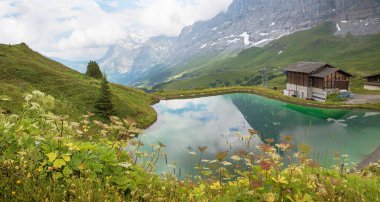 kır çiçekleri ile çevrili küçük göl, kleine scheidegg turist d
