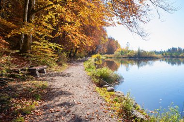 ahşap ile moor gölü Deininger Weiher güzel sonbahar sahne