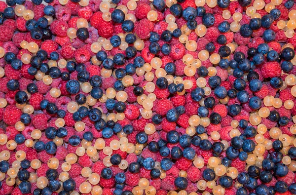 ब्लूबेरी, रास्पबेरी और सफेद मूंगफली के साथ फल पृष्ठभूमि — स्टॉक फ़ोटो, इमेज