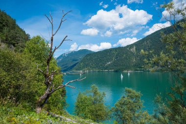 yaz aylarında göl achensee, pastoral göl kıyısı ve dağ manzarası
