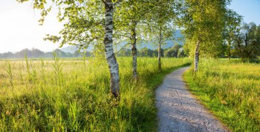 schlehdorf 'dan göle Kochelsee 'ye pastoral yürüyüş yolu