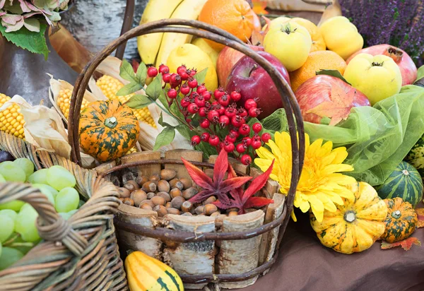 Autumnal decoration with corn, grapes, nuts in a basket, fruit a — Stock Photo, Image