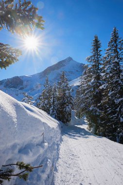 alpspitze dağ manzaralı wintry yürüyüş yolu garmisch alanı