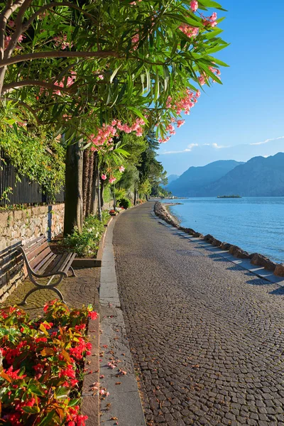 Paseo junto al lago con banco, hermoso lago Garda — Foto de Stock