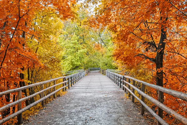 Puente de madera en el bosque, árboles y arbustos de color otoñal —  Fotos de Stock