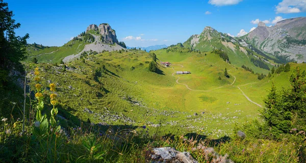 Hiking Area Schynige Platte Bernese Oberland Alps Summer Beautiful Landscape — Stock Photo, Image