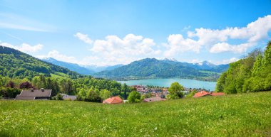 Göl manzaralı, üst bavyera 'lı Tegernsee' nin yukarısındaki cennet gibi bahar manzarası. yeşil çiçek çayırı ve alpler