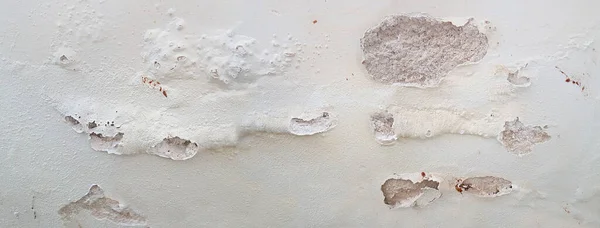 潮湿的地下室墙体需要用盐花和石膏片翻新 水害的后果 — 图库照片